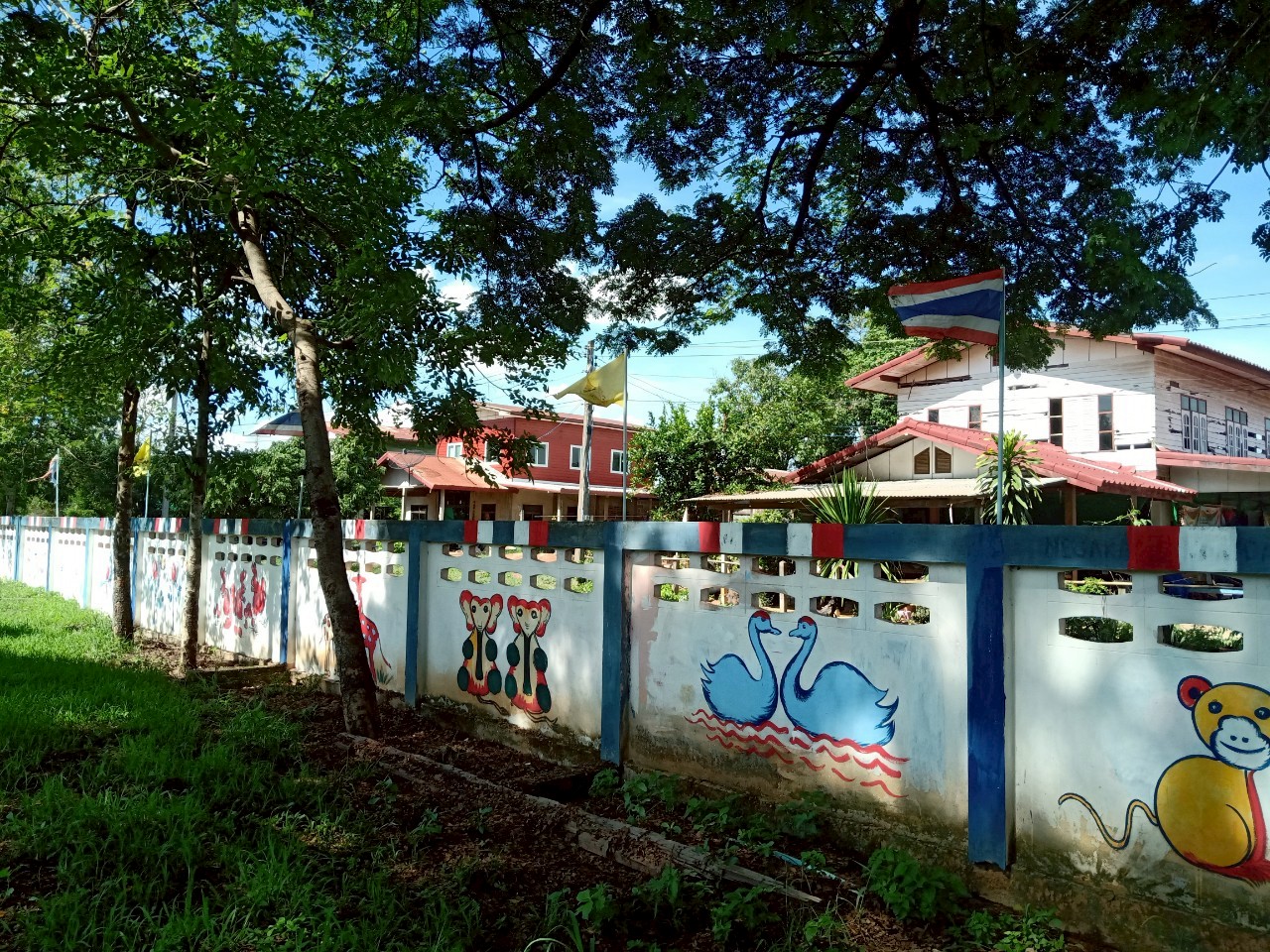 Image 1