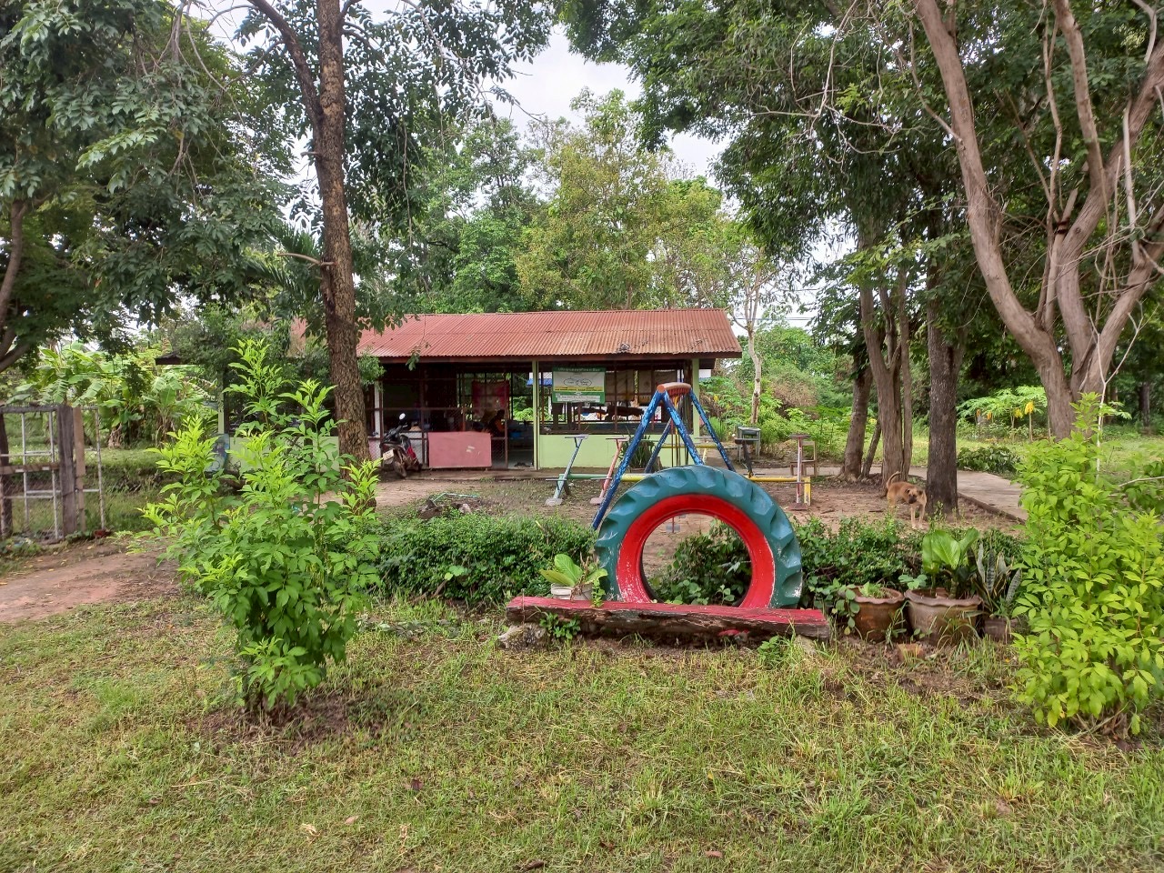 Image 1