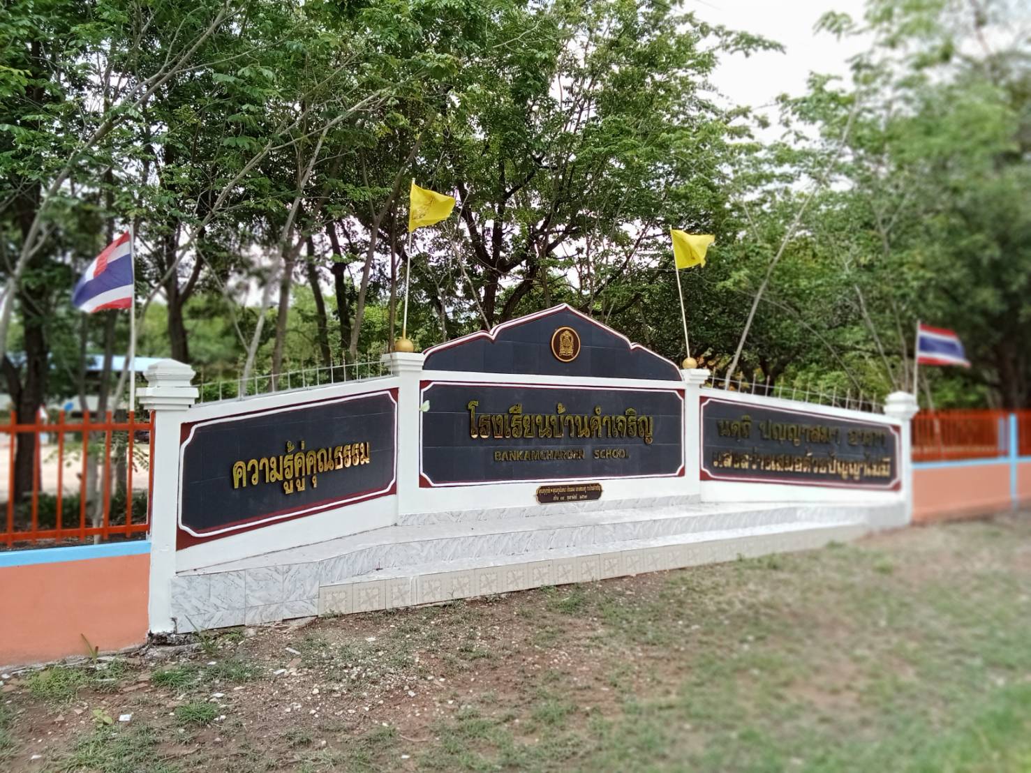 Image 2