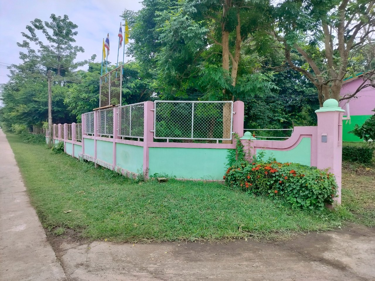 Image 2